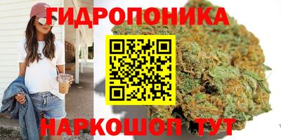 гашиш Берёзовский