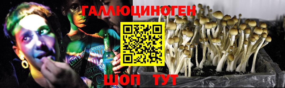 Карпинск  Псилоцибиновые грибы MAGIC MUSHROOMS  как найти закладки  Вход с VPN 